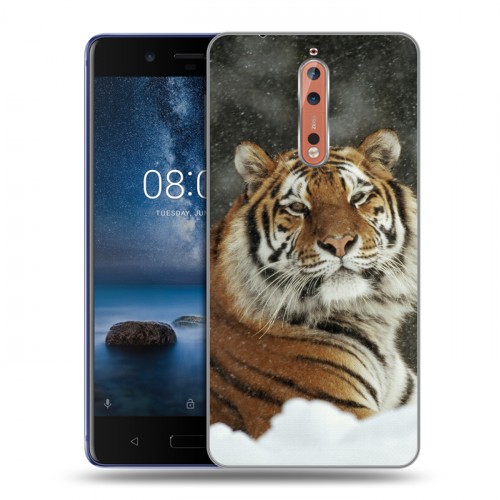 Дизайнерский пластиковый чехол для Nokia 8 Тигры