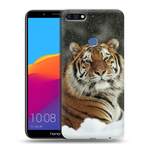 Дизайнерский пластиковый чехол для Huawei Honor 7C Pro Тигры