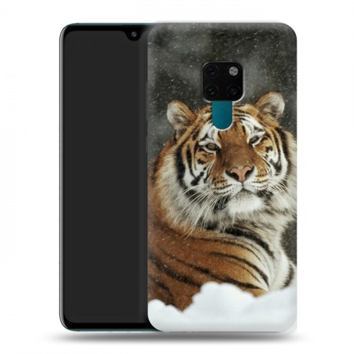 Дизайнерский пластиковый чехол для Huawei Mate 20 Тигры