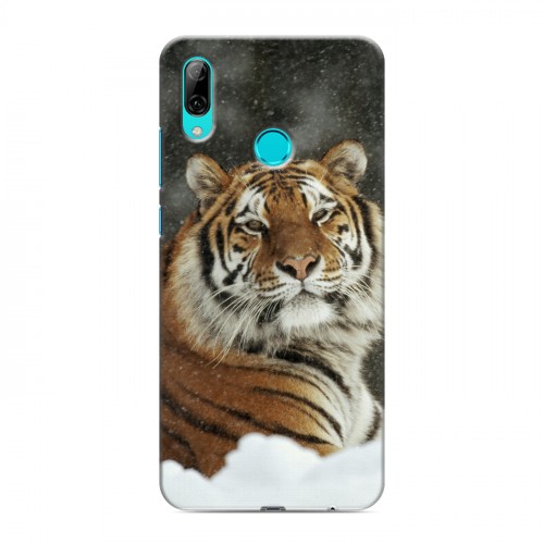 Дизайнерский пластиковый чехол для Huawei P Smart (2019) Тигры