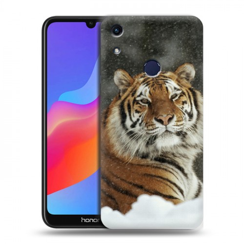 Дизайнерский пластиковый чехол для Huawei Honor 8A Тигры