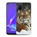 Дизайнерский пластиковый чехол для OPPO A52 Тигры