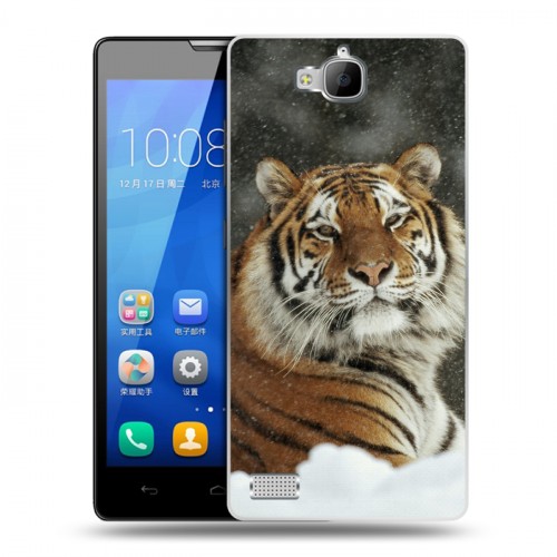 Дизайнерский пластиковый чехол для Huawei Honor 3c Тигры