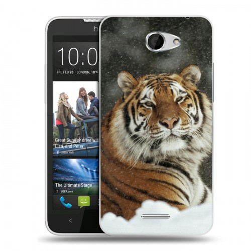 Дизайнерский пластиковый чехол для HTC Desire 516 Тигры