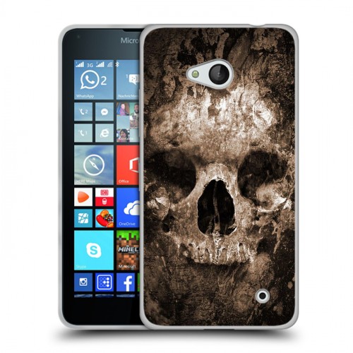 Дизайнерский пластиковый чехол для Microsoft Lumia 640 Dark souls