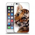 Дизайнерский силиконовый чехол для Iphone 6 Plus/6s Plus Тигры