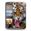 Дизайнерский пластиковый чехол для HTC Desire 828 Тигры
