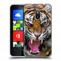 Дизайнерский пластиковый чехол для Nokia Lumia 620 Тигры