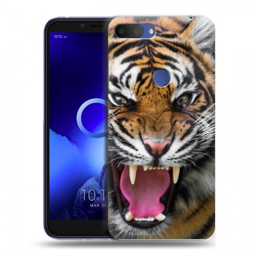 Дизайнерский пластиковый чехол для Alcatel 1S (2019) Тигры