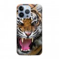 Дизайнерский силиконовый чехол для Iphone 13 Pro Тигры
