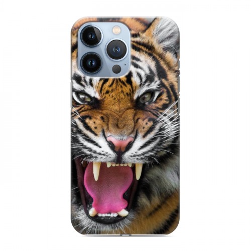 Дизайнерский силиконовый чехол для Iphone 13 Pro Тигры