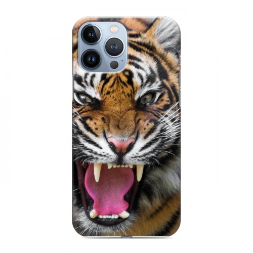 Дизайнерский силиконовый чехол для Iphone 13 Pro Max Тигры