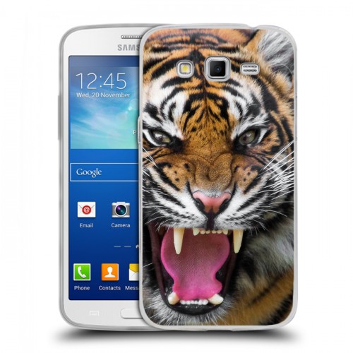 Дизайнерский пластиковый чехол для Samsung Galaxy Grand 2 Тигры