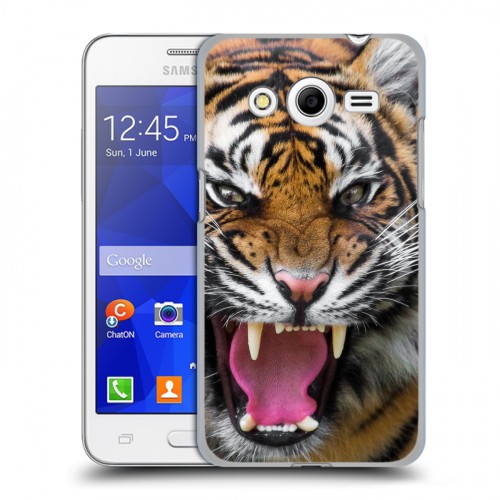 Дизайнерский пластиковый чехол для Samsung Galaxy Core 2 Тигры