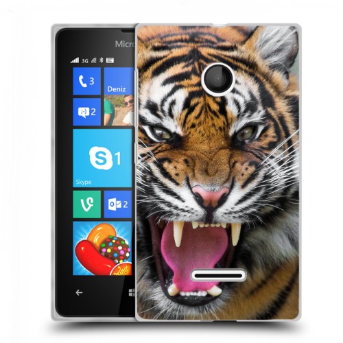 Дизайнерский пластиковый чехол для Microsoft Lumia 435 Тигры