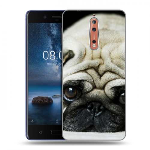 Дизайнерский пластиковый чехол для Nokia 8 Щенки