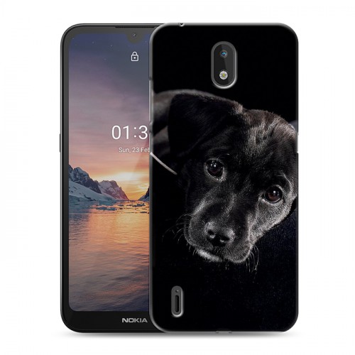 Дизайнерский силиконовый чехол для Nokia 1.3 Щенки