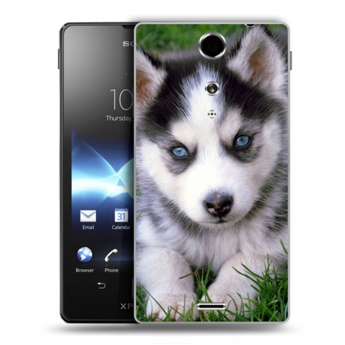 Дизайнерский пластиковый чехол для Sony Xperia TX Щенки