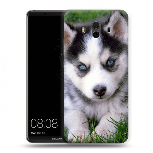 Дизайнерский пластиковый чехол для Huawei Mate 10 Щенки