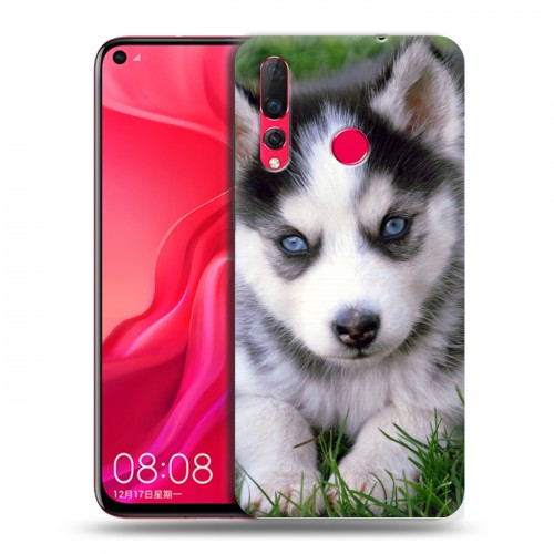 Дизайнерский пластиковый чехол для Huawei Nova 4 Щенки