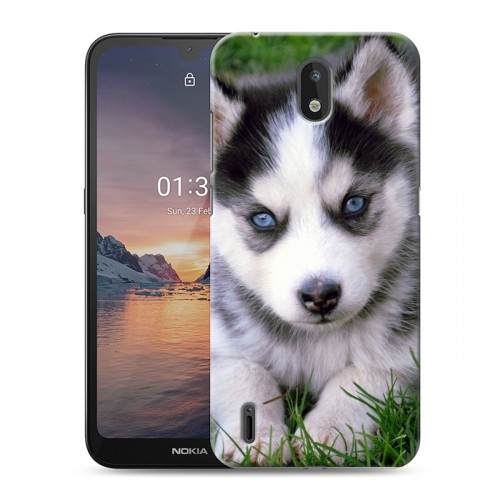 Дизайнерский силиконовый чехол для Nokia 1.3 Щенки