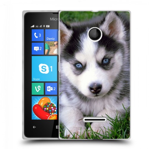 Дизайнерский пластиковый чехол для Microsoft Lumia 435 Щенки