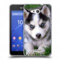 Дизайнерский пластиковый чехол для Sony Xperia E4g Щенки