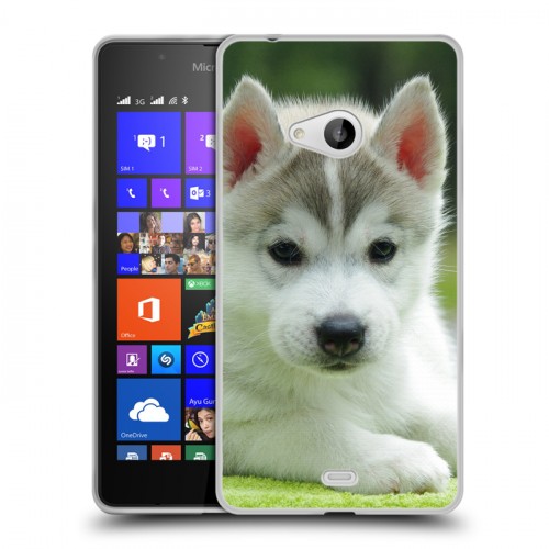 Дизайнерский пластиковый чехол для Microsoft Lumia 540 Щенки