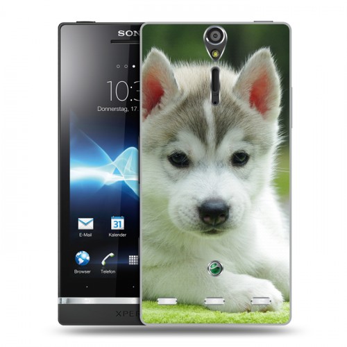 Дизайнерский пластиковый чехол для Sony Xperia S Щенки