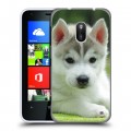 Дизайнерский пластиковый чехол для Nokia Lumia 620 Щенки