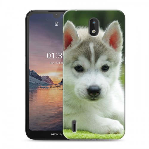 Дизайнерский силиконовый чехол для Nokia 1.3 Щенки