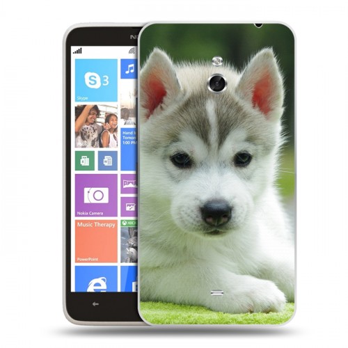 Дизайнерский пластиковый чехол для Nokia Lumia 1320 Щенки