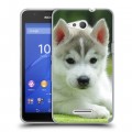 Дизайнерский пластиковый чехол для Sony Xperia E4g Щенки