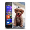 Дизайнерский пластиковый чехол для Microsoft Lumia 540 Щенки