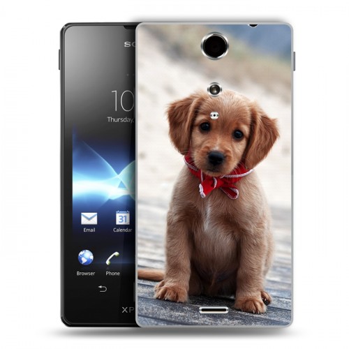 Дизайнерский пластиковый чехол для Sony Xperia TX Щенки