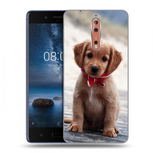 Дизайнерский пластиковый чехол для Nokia 8 Щенки