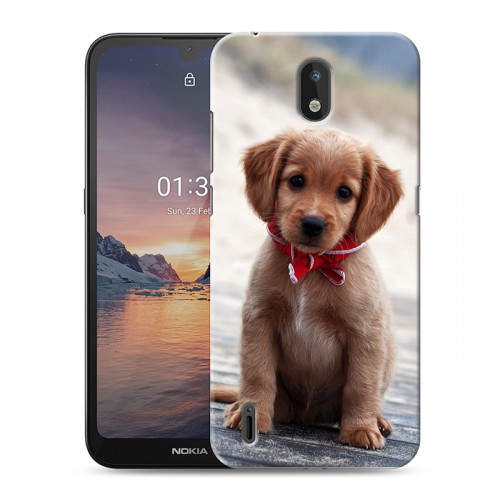 Дизайнерский силиконовый чехол для Nokia 1.3 Щенки