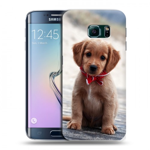 Дизайнерский пластиковый чехол для Samsung Galaxy S6 Edge Щенки