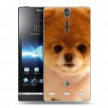 Дизайнерский пластиковый чехол для Sony Xperia S Щенки