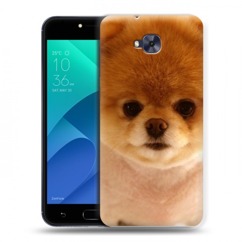 Дизайнерский пластиковый чехол для ASUS ZenFone 4 Selfie Щенки