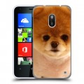 Дизайнерский пластиковый чехол для Nokia Lumia 620 Щенки