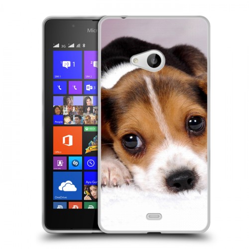 Дизайнерский пластиковый чехол для Microsoft Lumia 540 Щенки