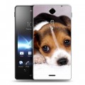 Дизайнерский пластиковый чехол для Sony Xperia TX Щенки