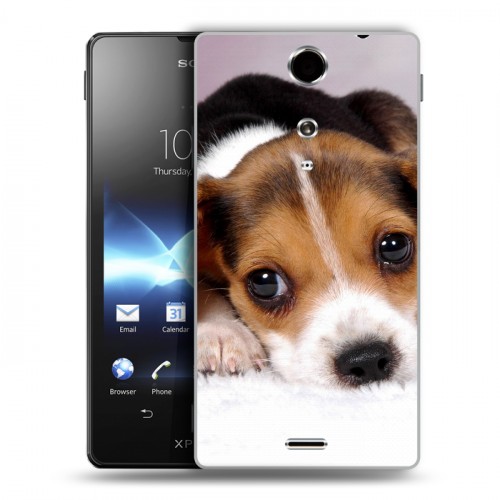 Дизайнерский пластиковый чехол для Sony Xperia TX Щенки