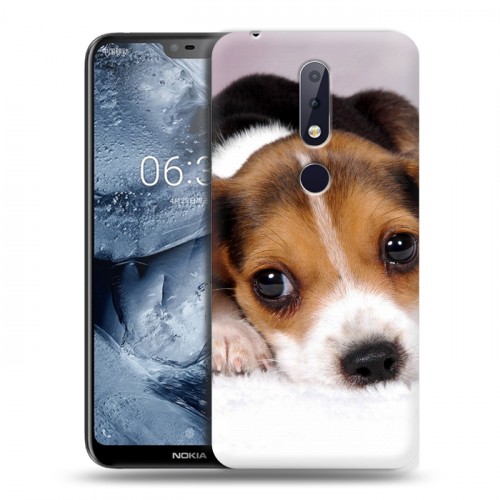 Дизайнерский пластиковый чехол для Nokia 6.1 Plus Щенки