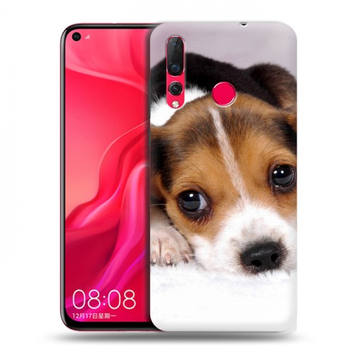 Дизайнерский пластиковый чехол для Huawei Nova 4 Щенки