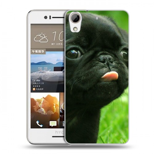 Дизайнерский пластиковый чехол для HTC Desire 728 Щенки