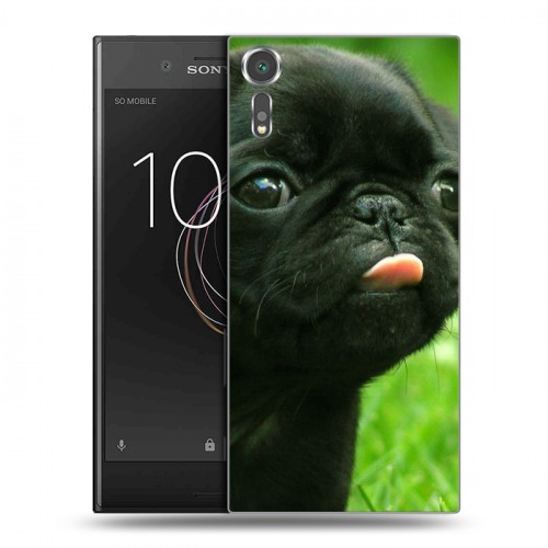 Дизайнерский пластиковый чехол для Sony Xperia XZs Щенки