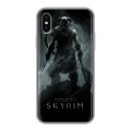 Дизайнерский силиконовый чехол для Iphone x10 Skyrim