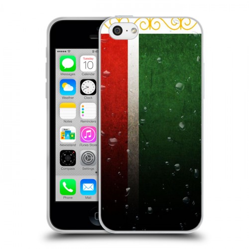 Дизайнерский пластиковый чехол для Iphone 5c Флаг Чечни
